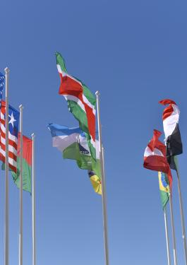 flags 